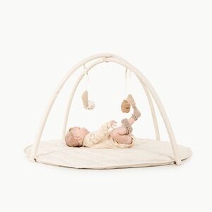 Gathre baby activity gym